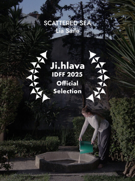 29th Ji.hlava Documentary Film Festival