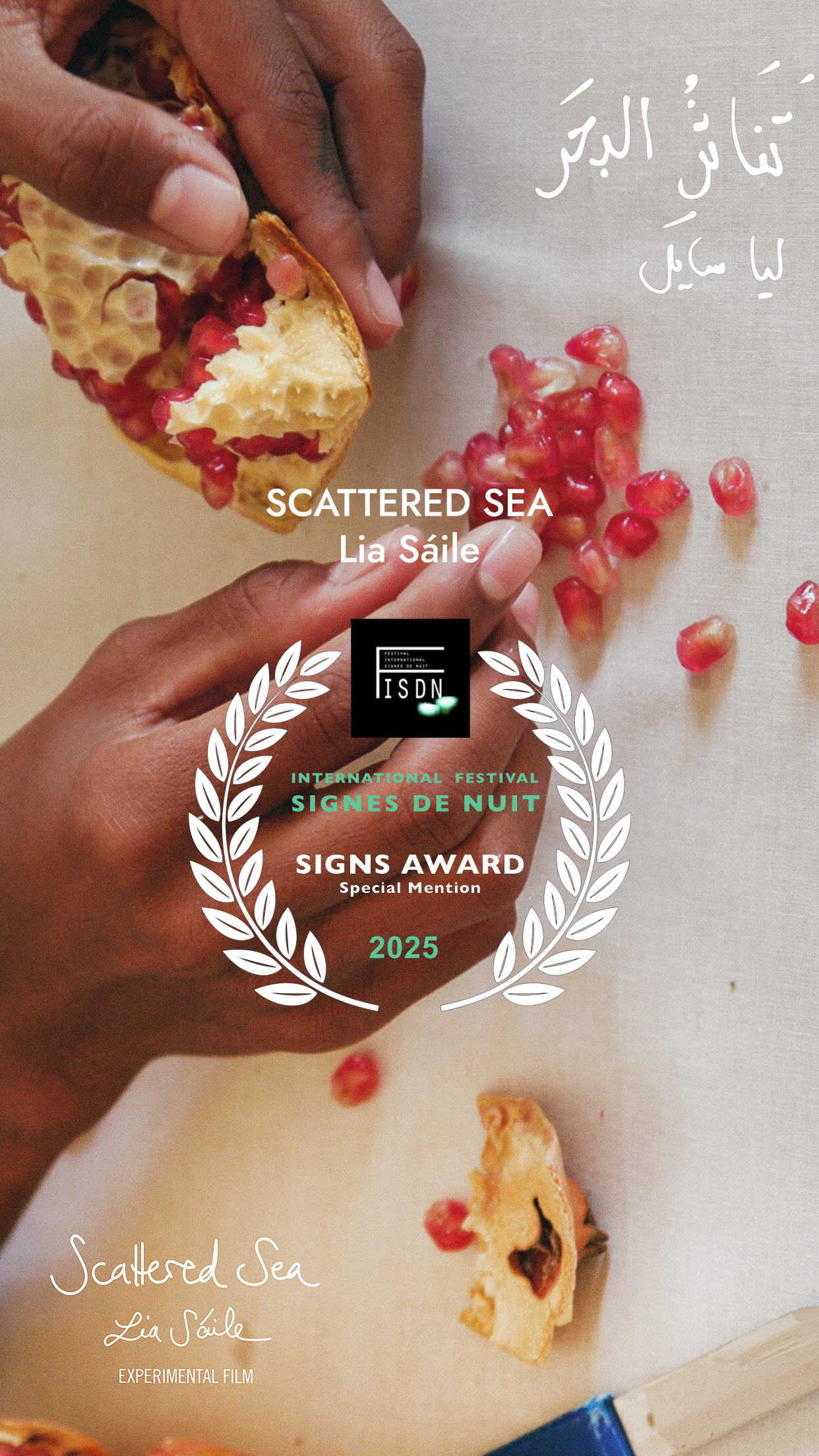 Scattered Sea wins honorable mention of SIGNS award in competition of Signes de Nuit Paris